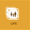 Life Insurance